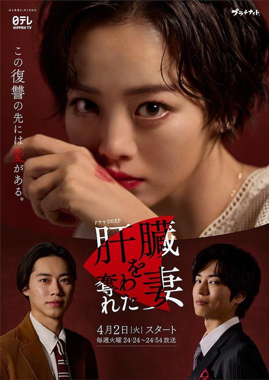 网友昵称：访客